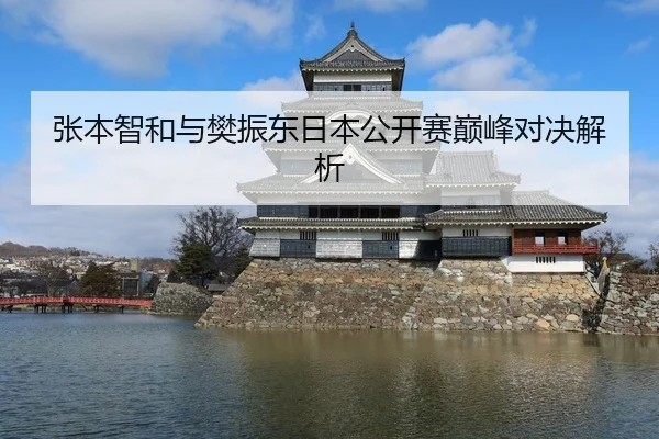 张本智和与樊振东日本公开赛巅峰对决解析
